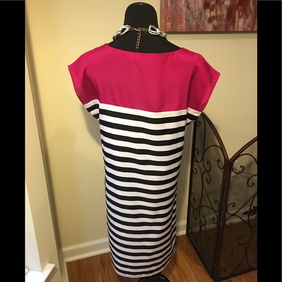 The Limited Dress - Picture 4 of 6